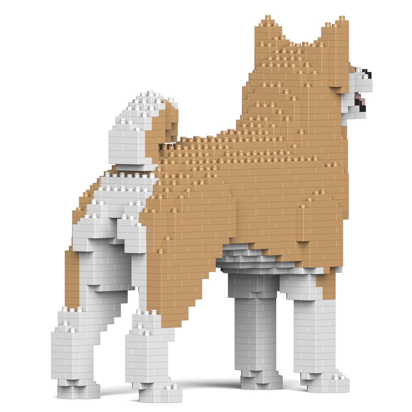 秋田犬01-M02