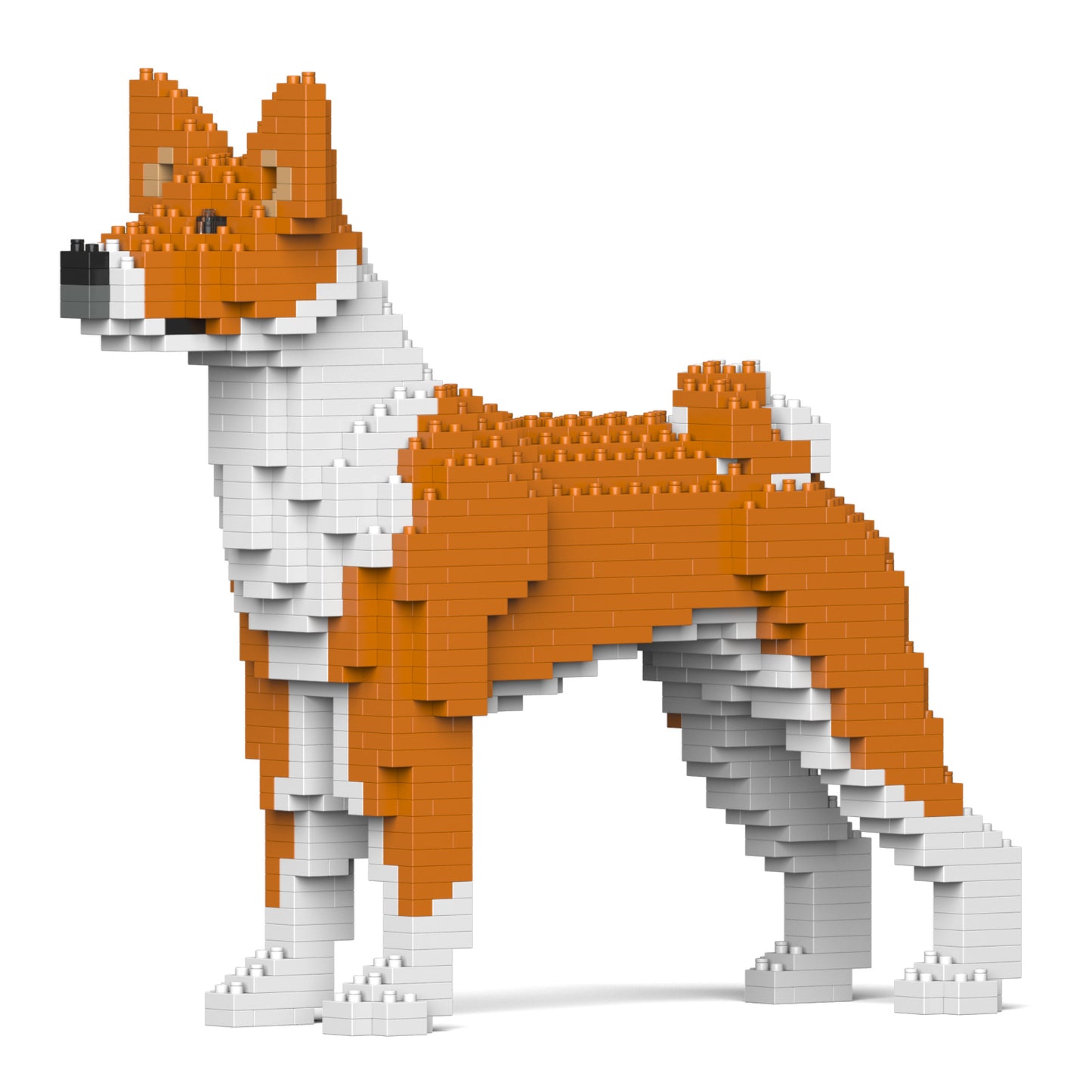 貝生吉犬01-M01