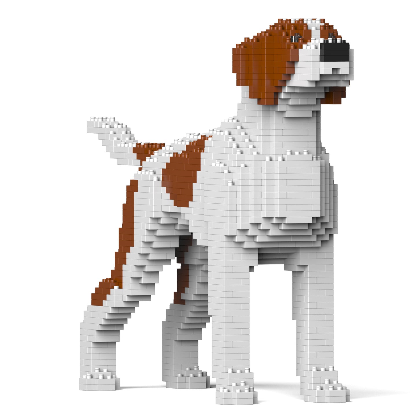 指標犬01-M01