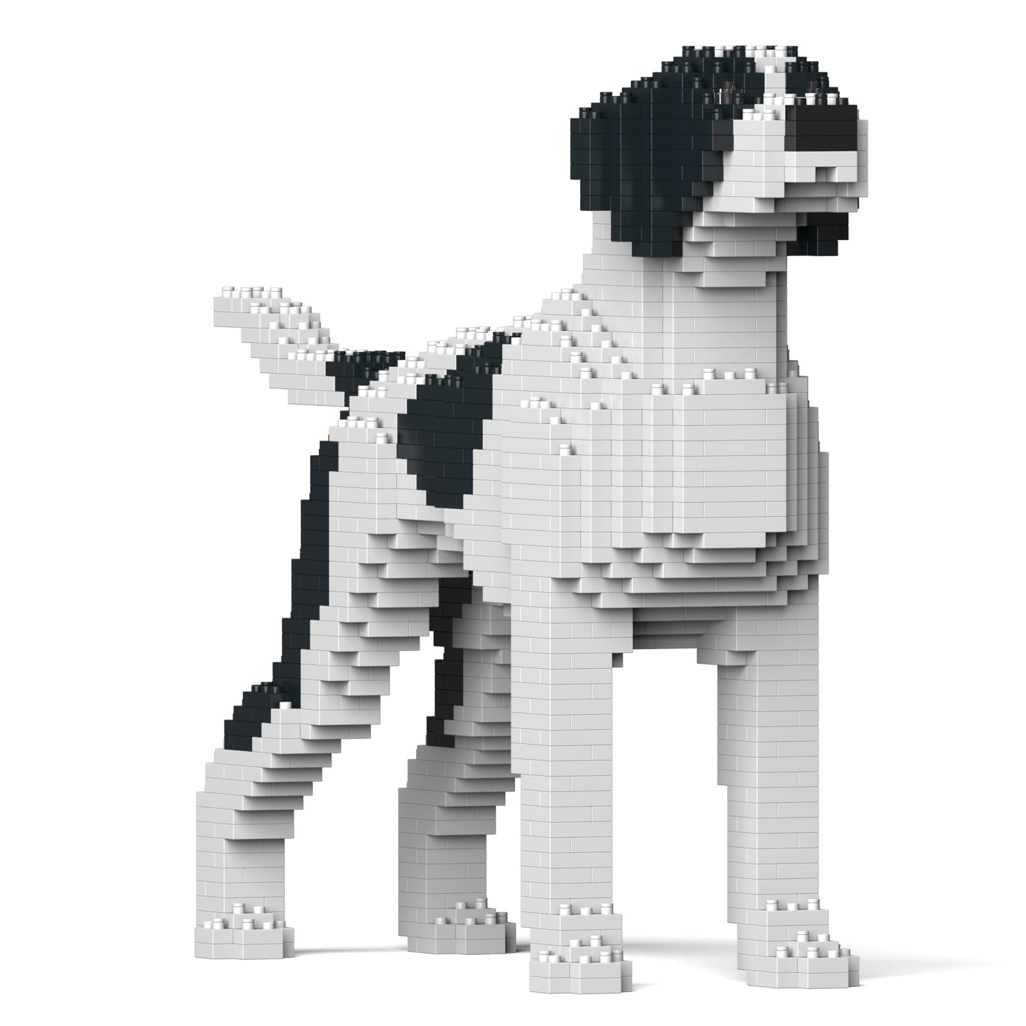 指標犬01-M02