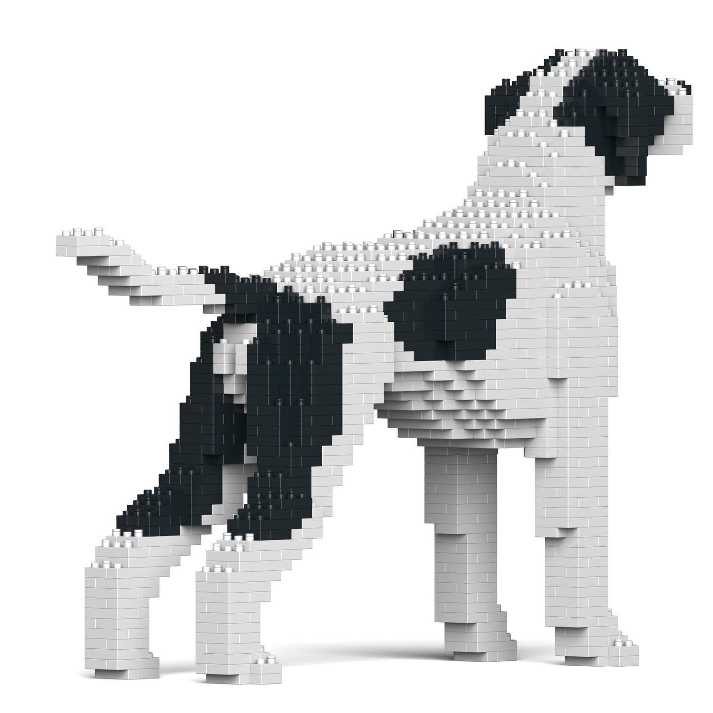 指標犬01-M02