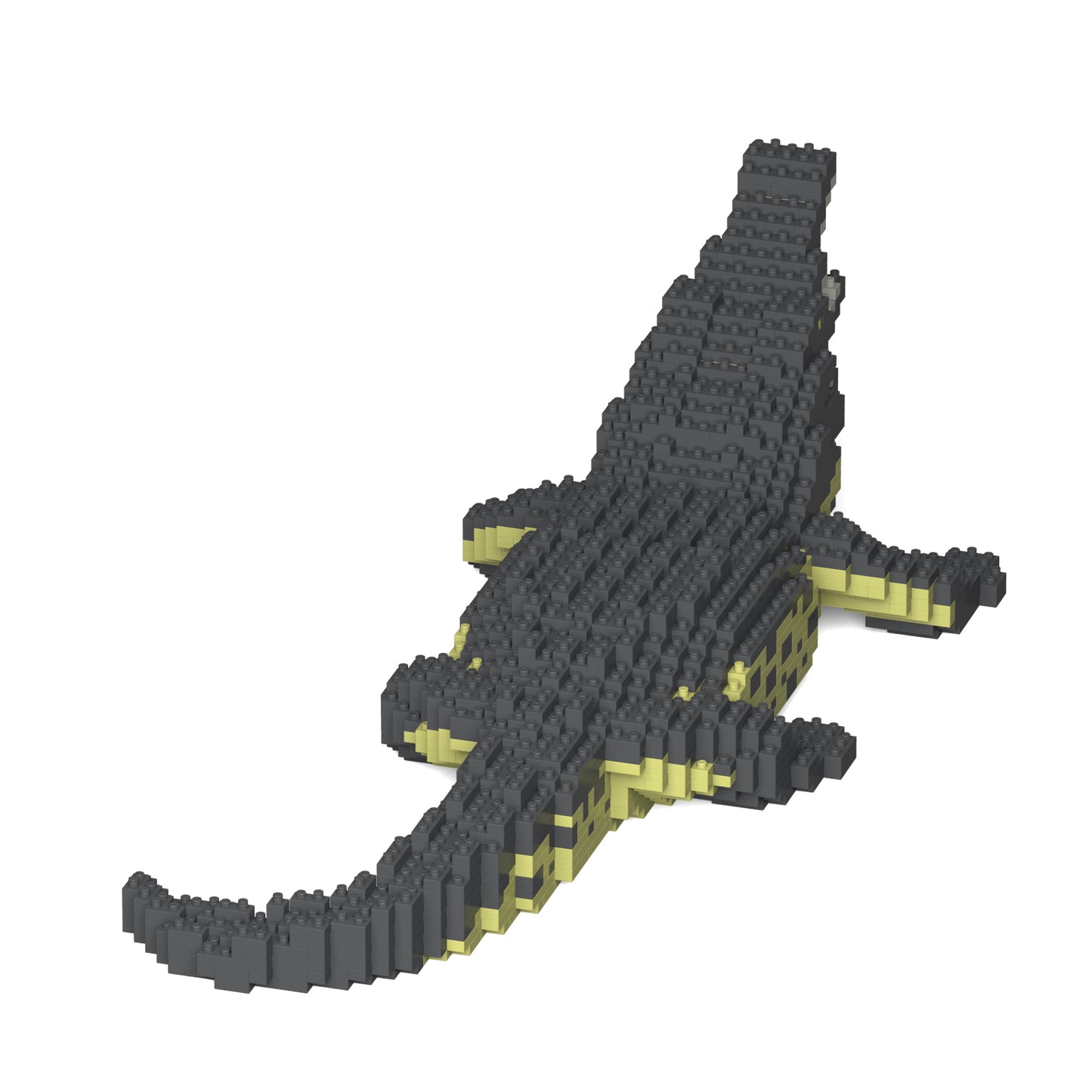 鱷魚01