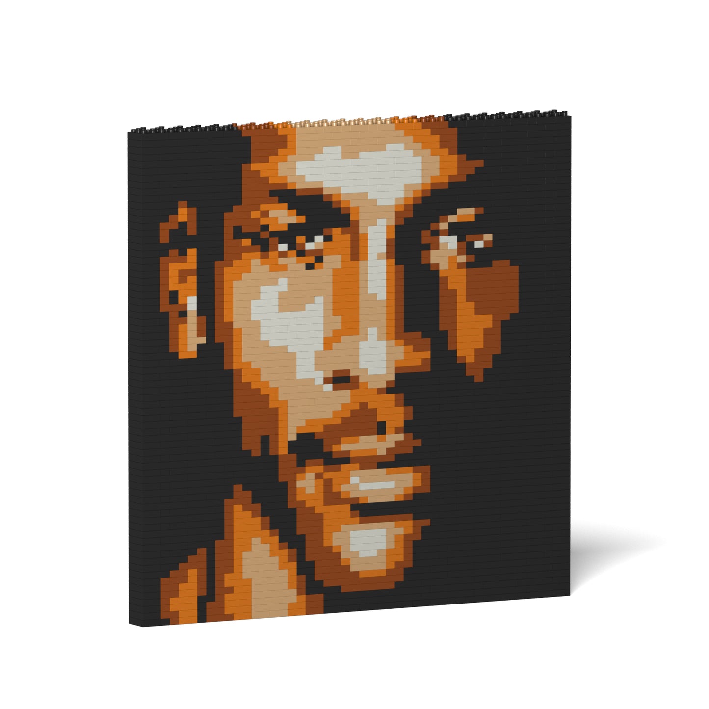 Michael Jordan Brick Painting 02S
