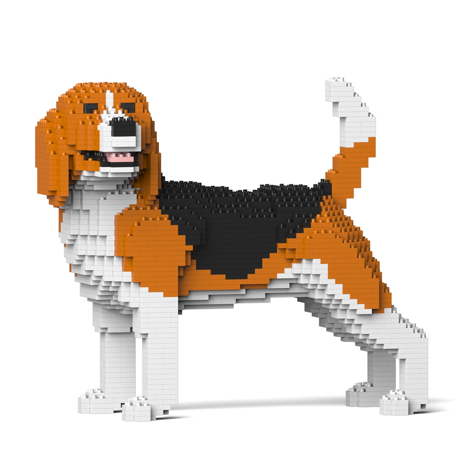 小獵犬