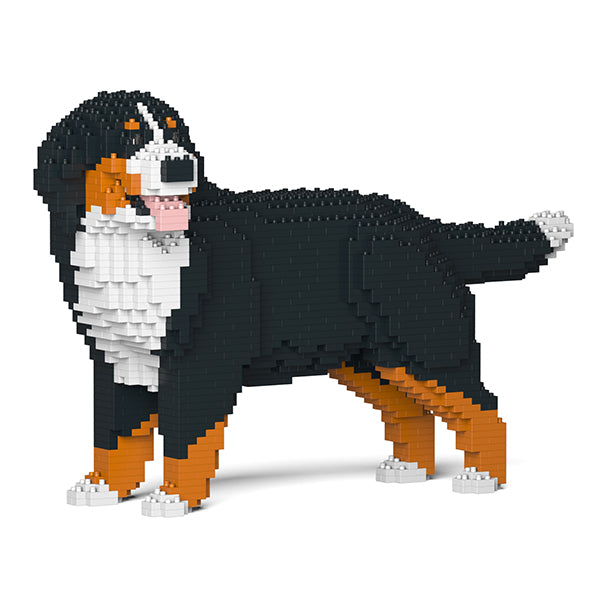 伯恩山犬