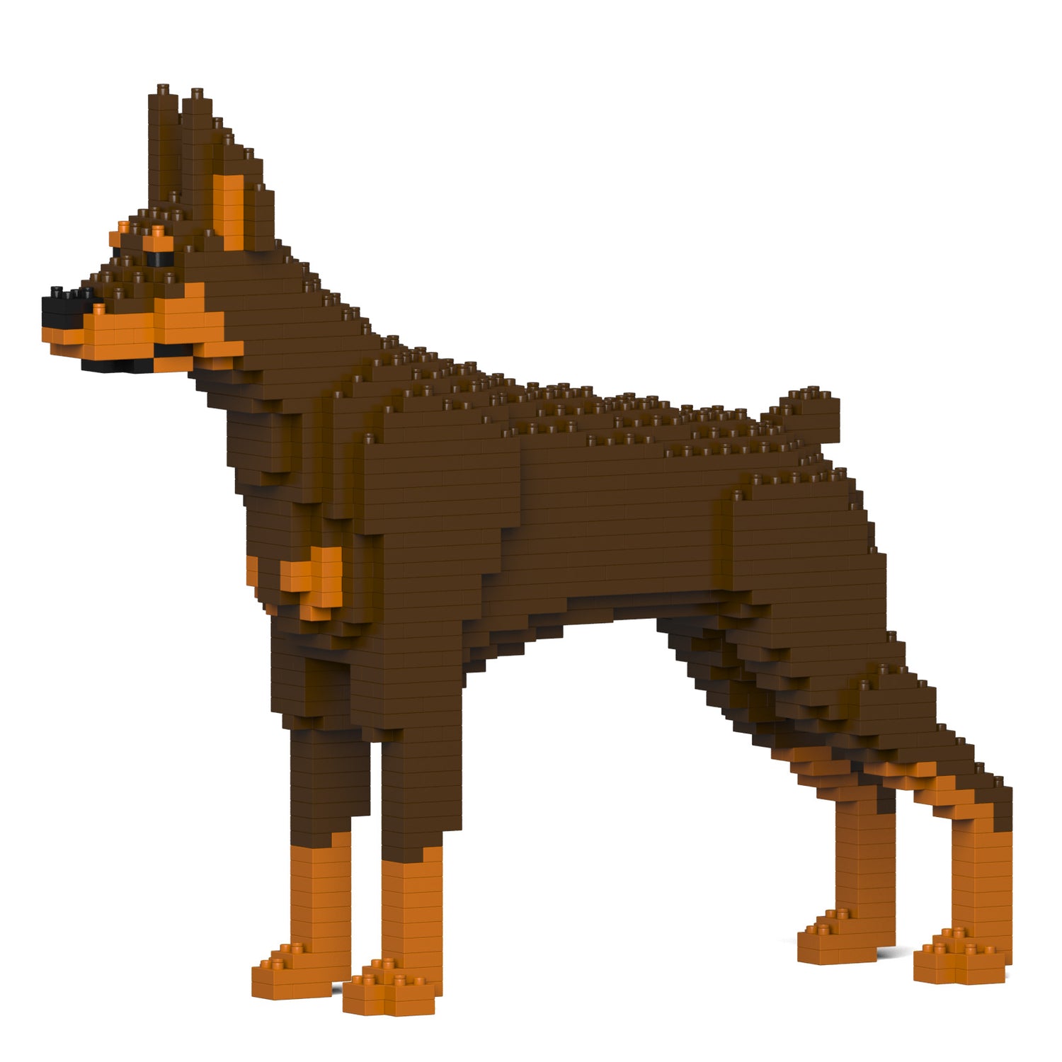 杜賓犬