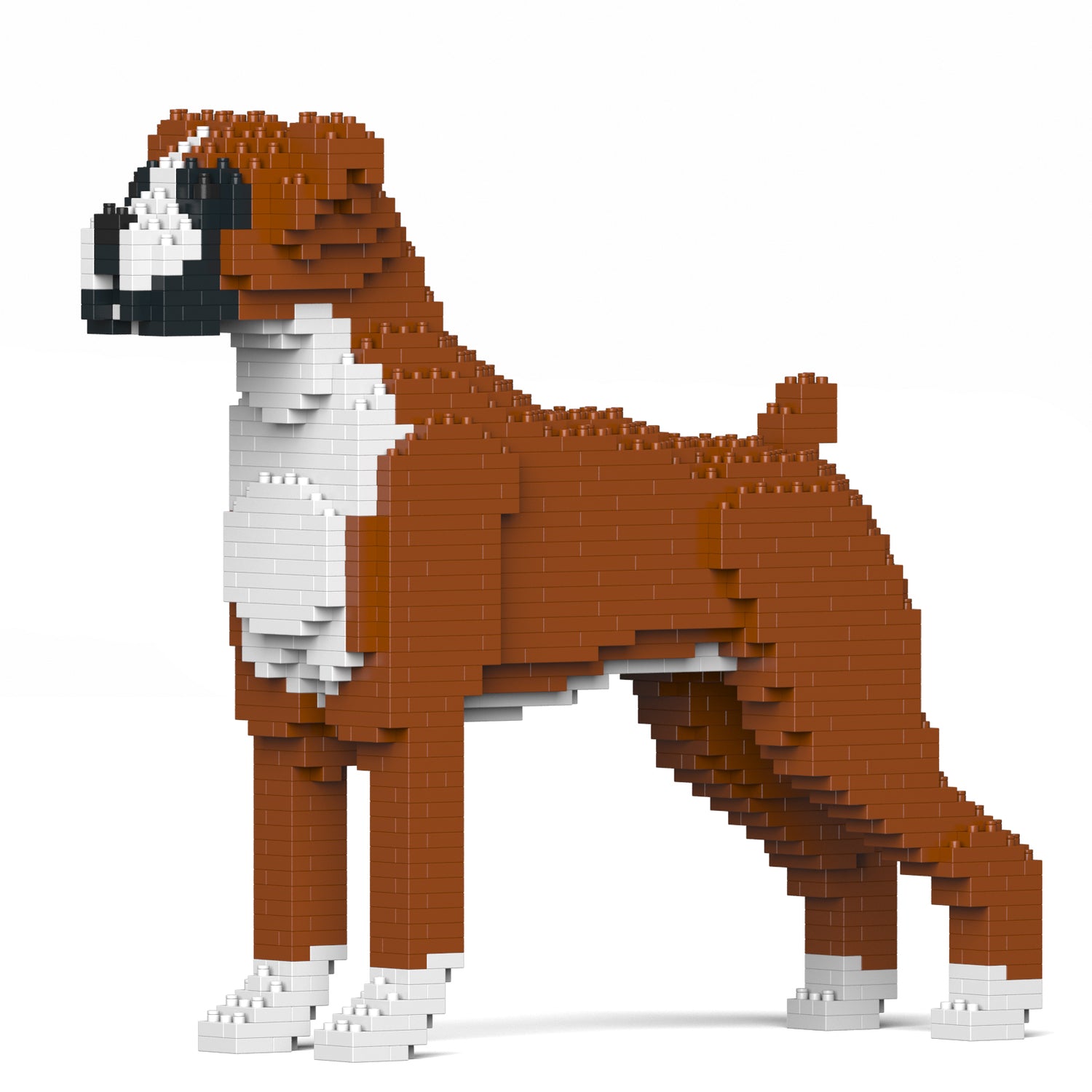 拳師犬