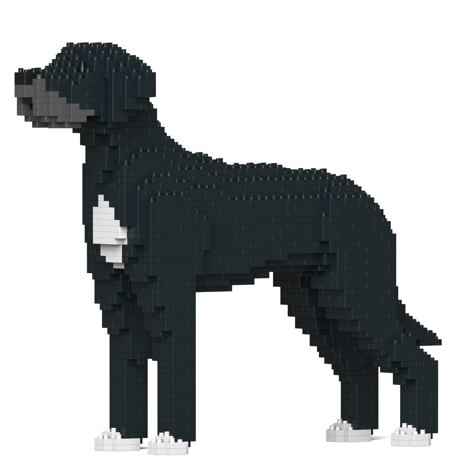 大丹犬
