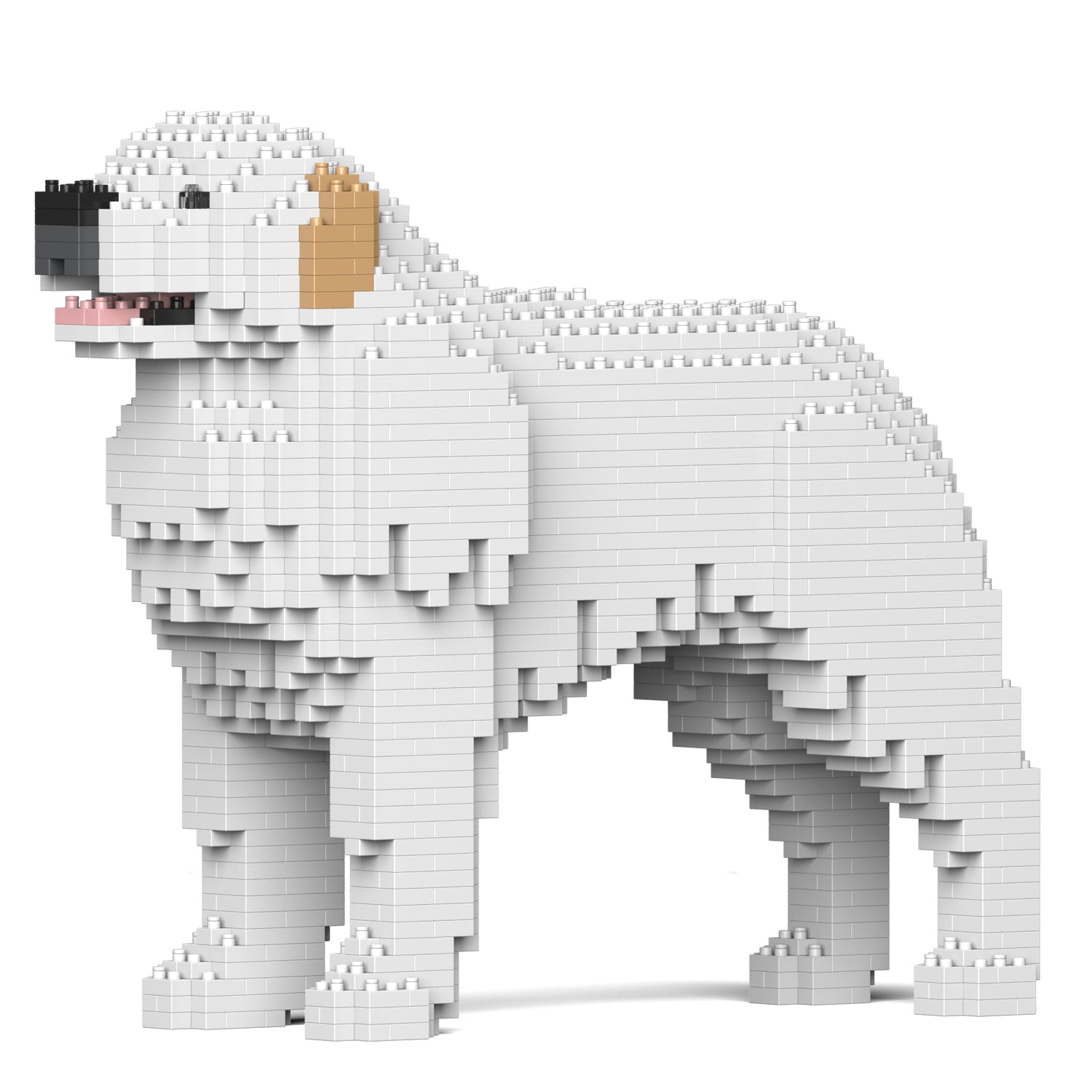 大白熊犬