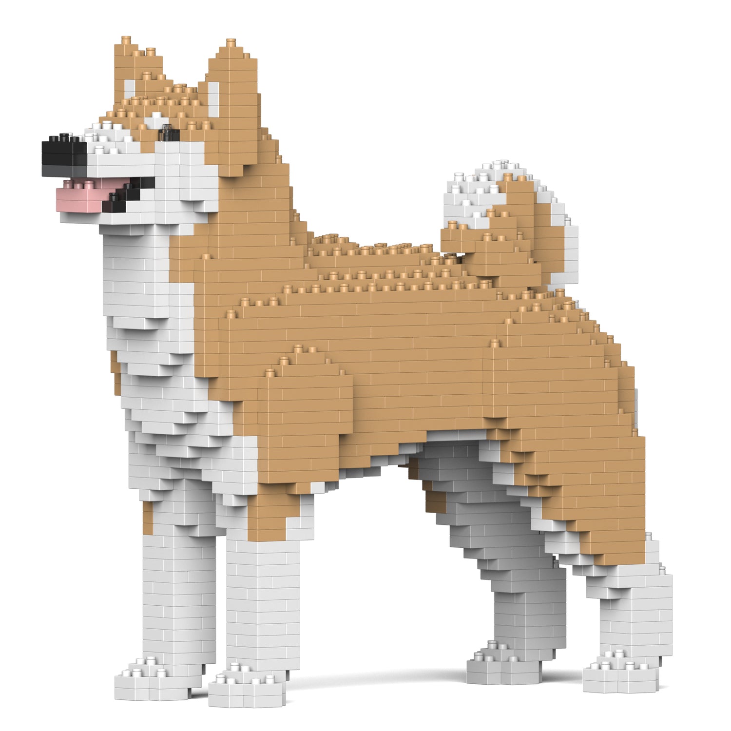 秋田犬