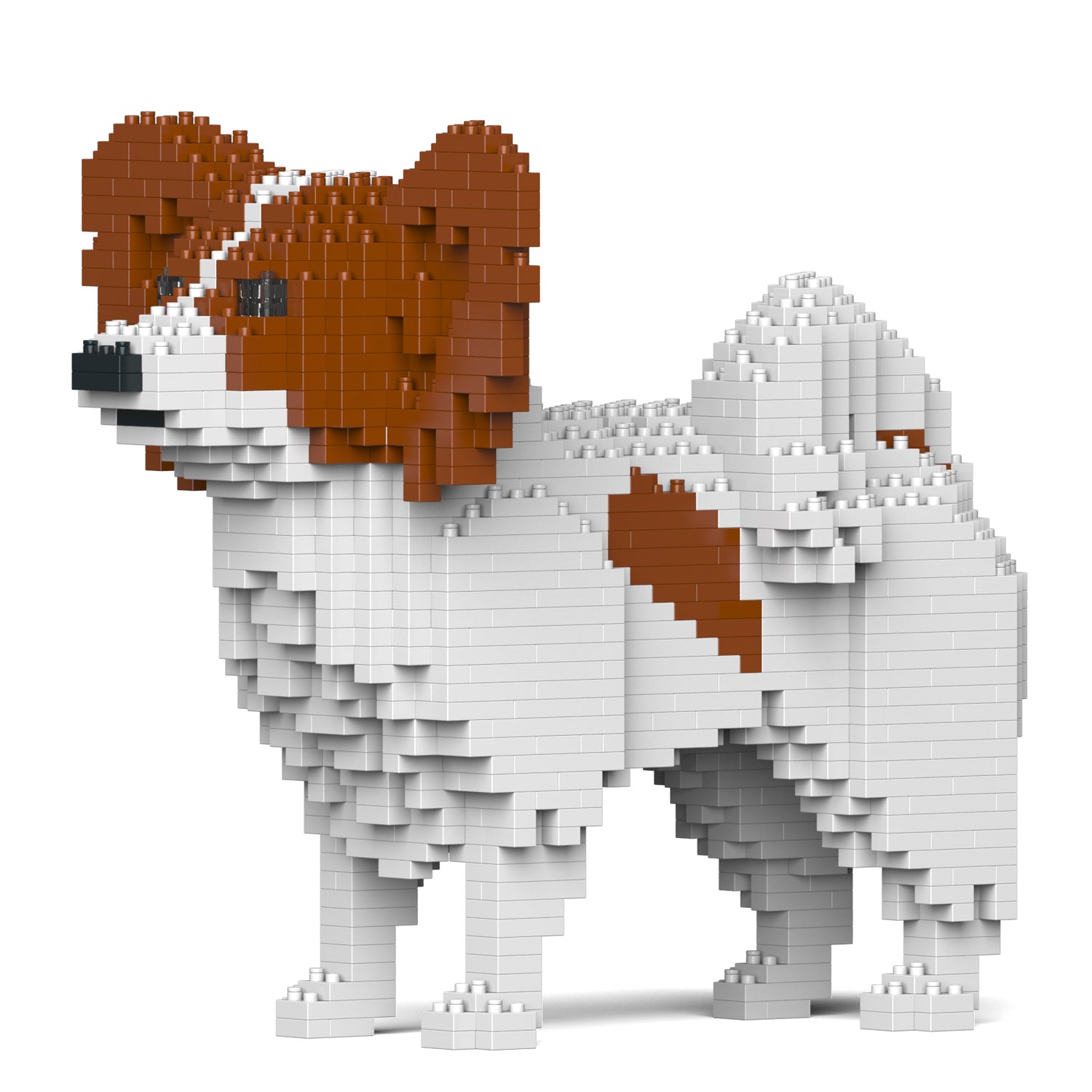 蝴蝶犬