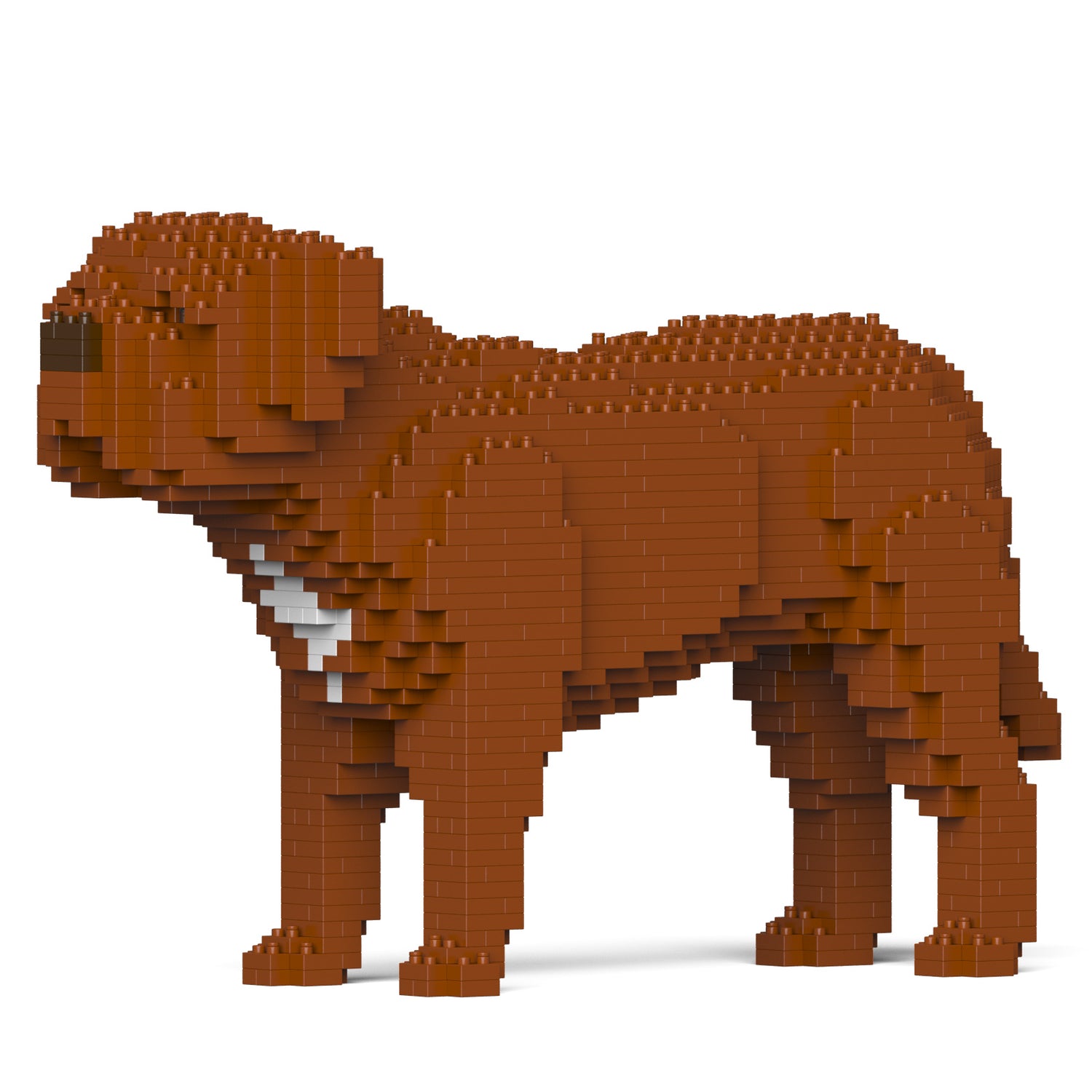 波爾多獒犬