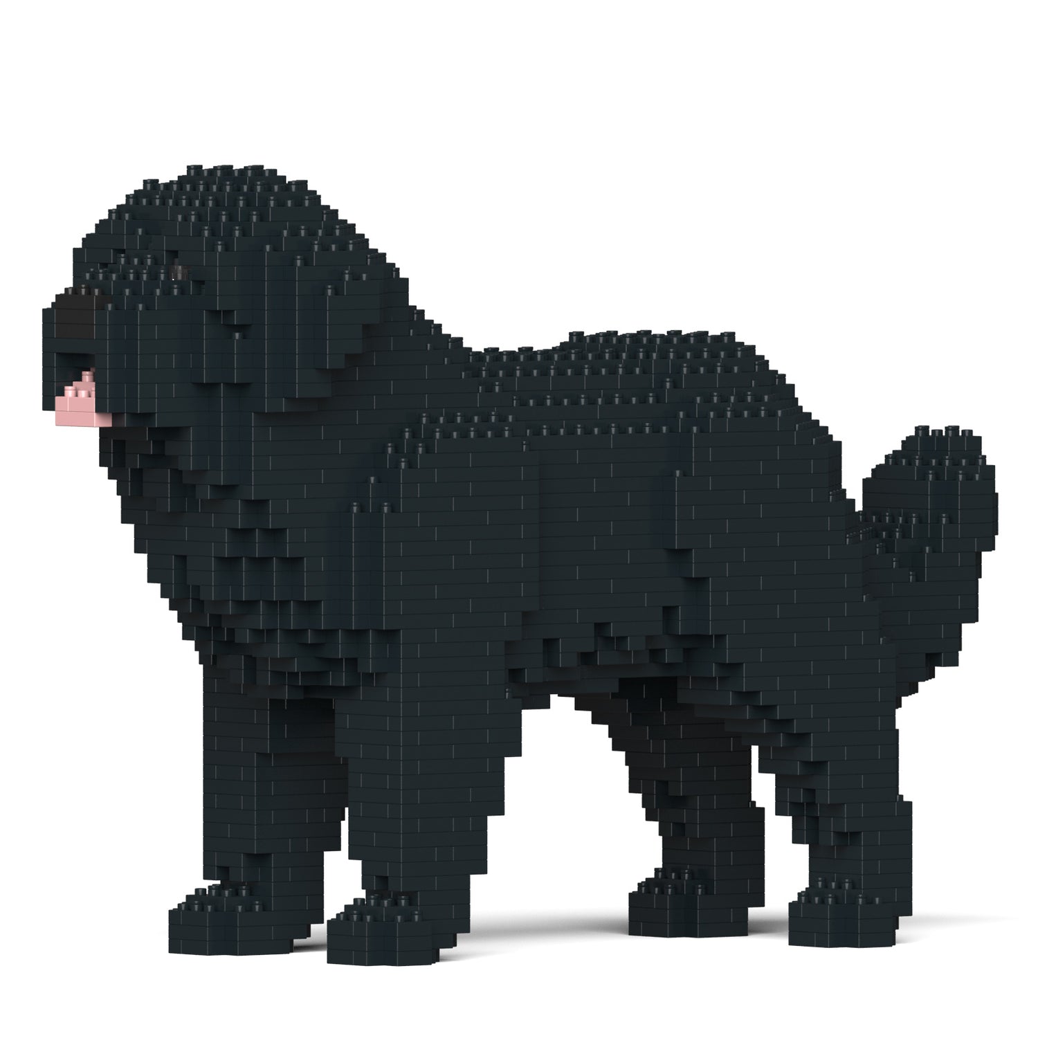 紐芬蘭犬