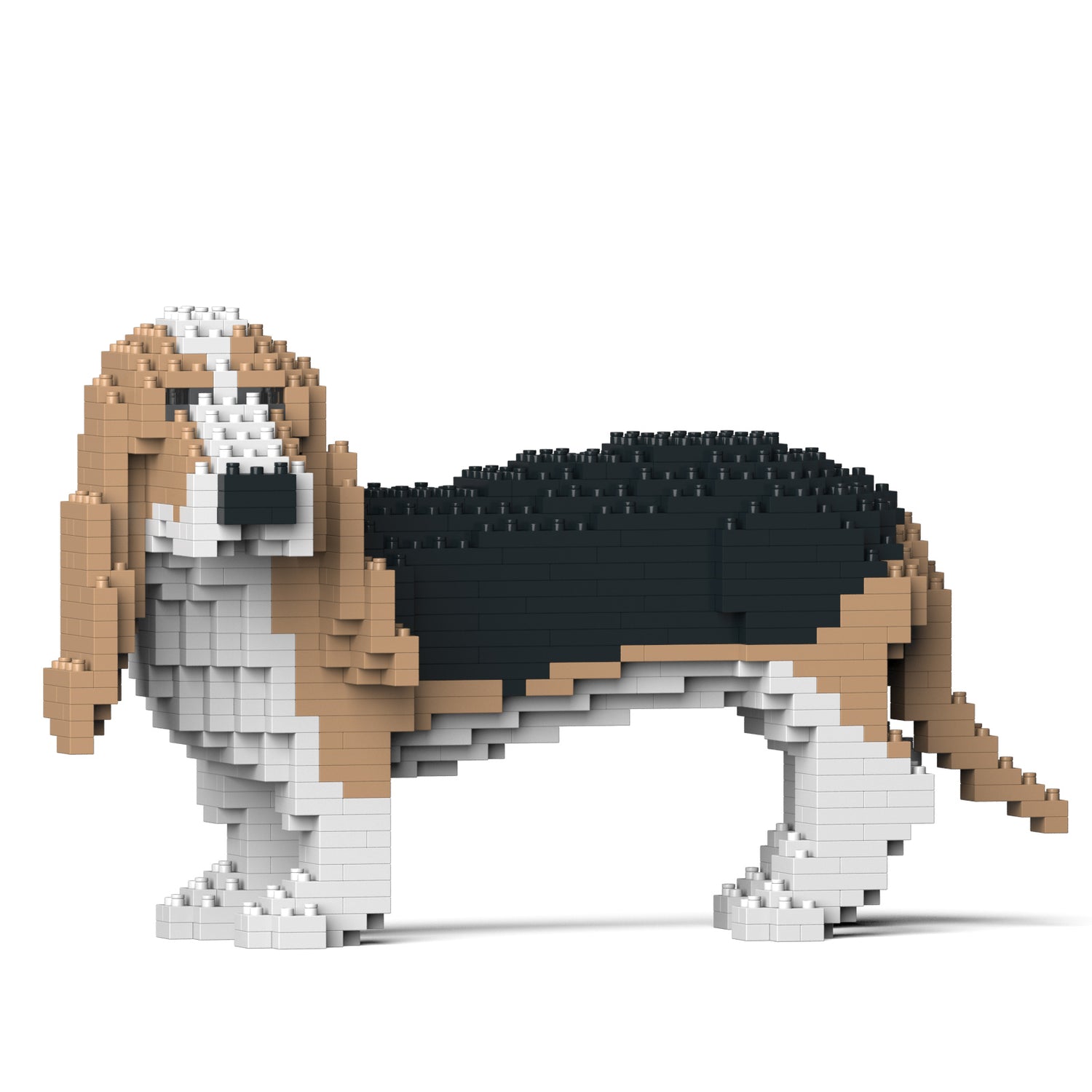 巴吉度獵犬