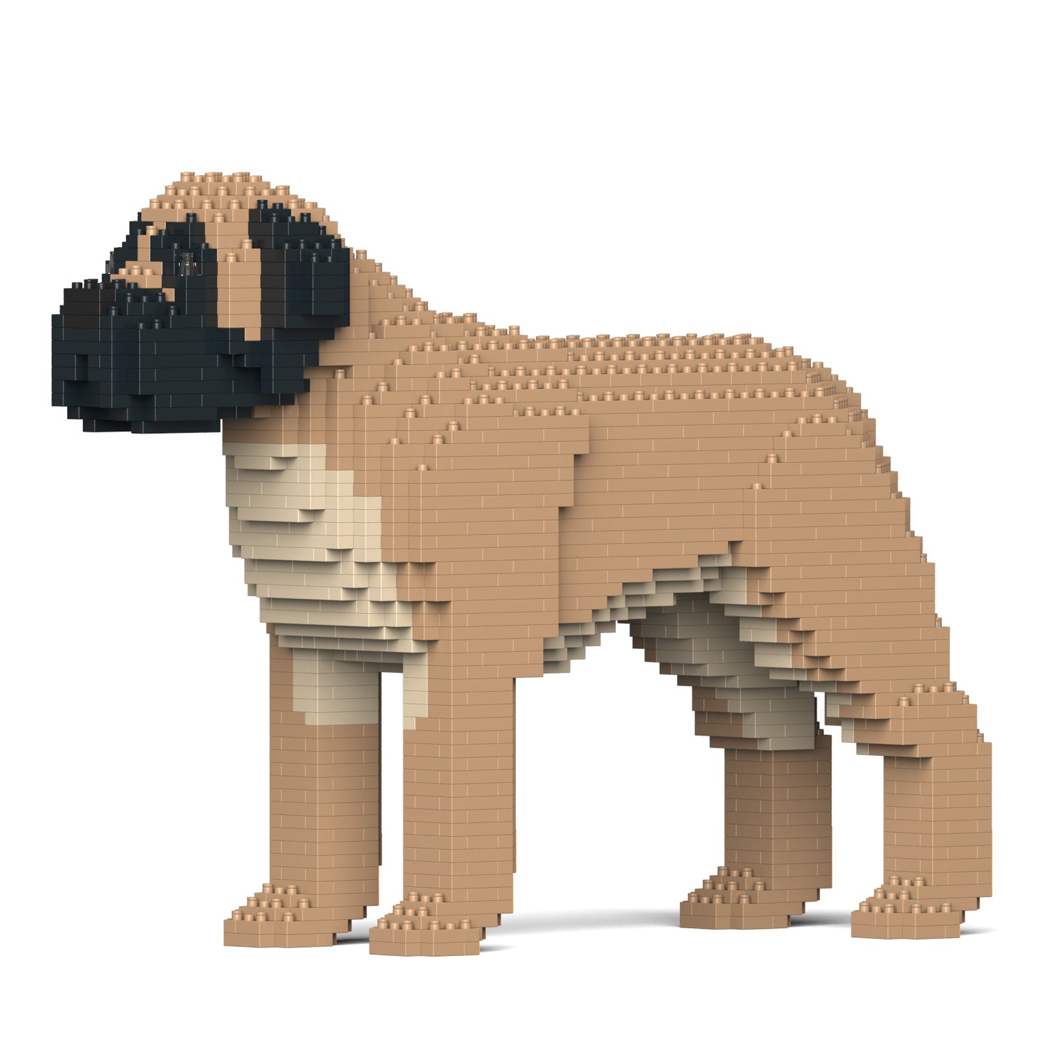 英國獒犬