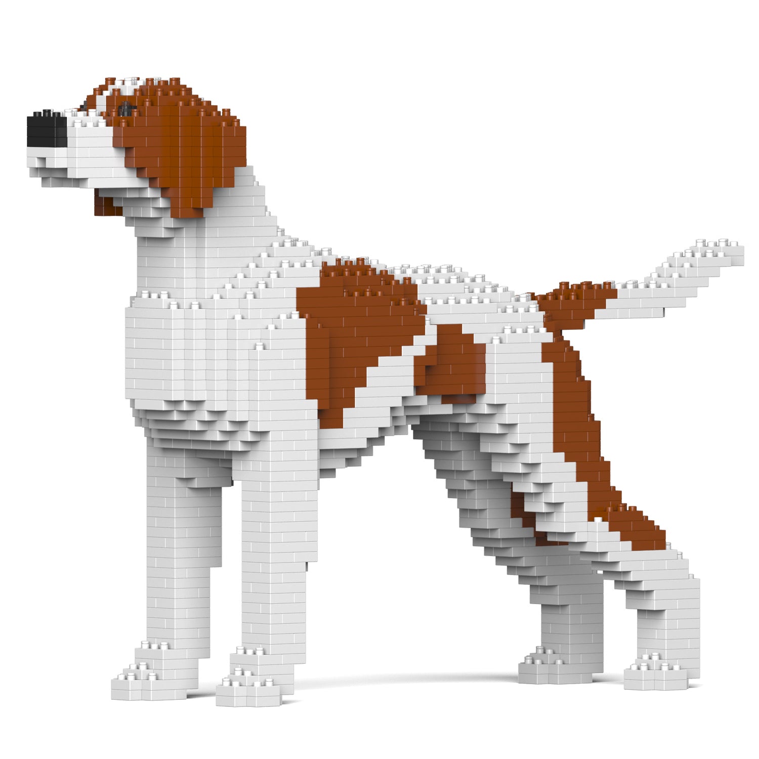 指標犬