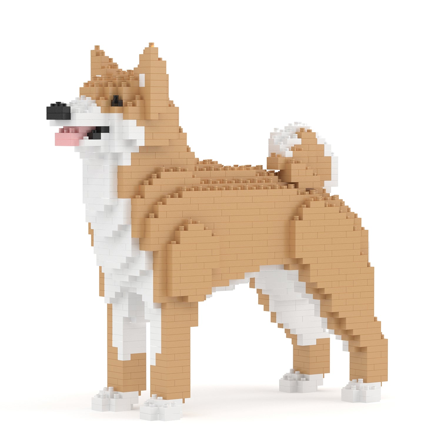 珍島犬