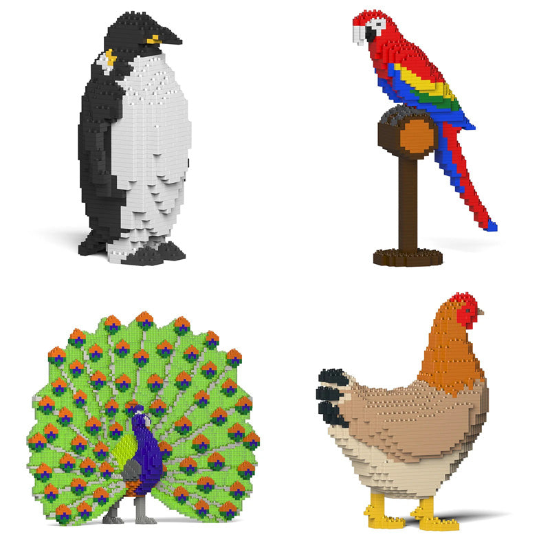 鳥類
