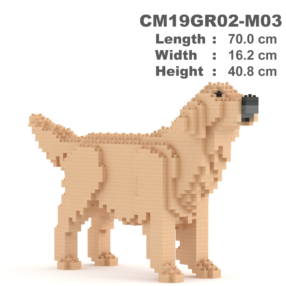 金毛尋回犬02-M03