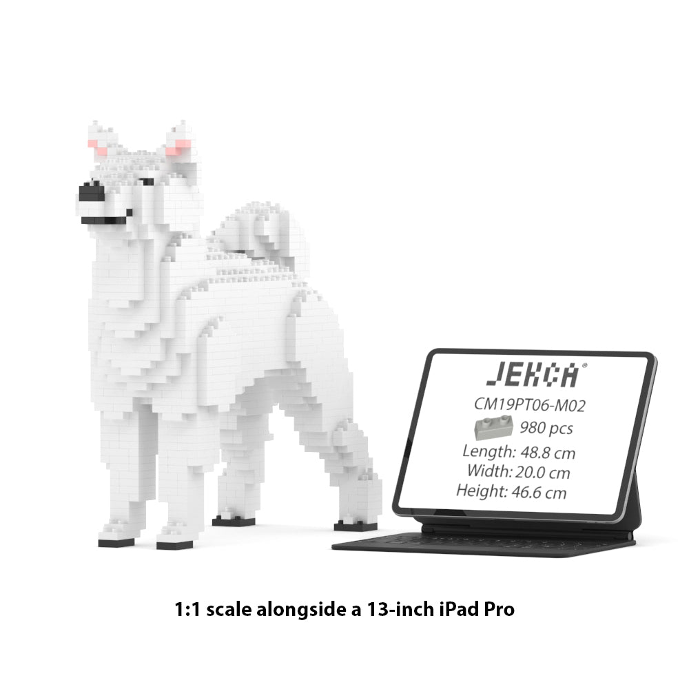 柴犬01-M03