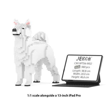 柴犬01-M03