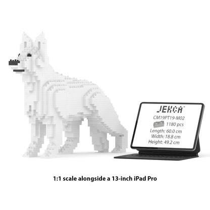 德國牧羊犬01-M02