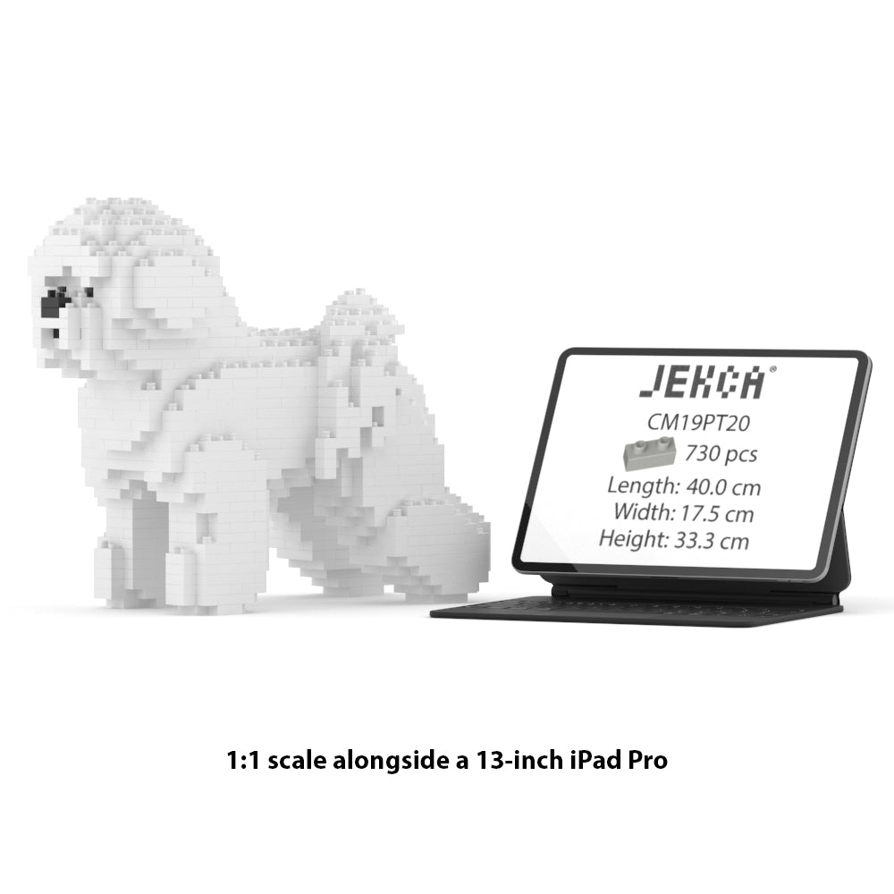 比熊犬01