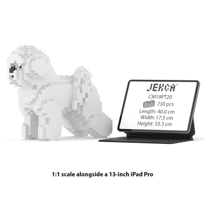 比熊犬01