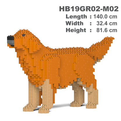 金毛尋回犬02-M02