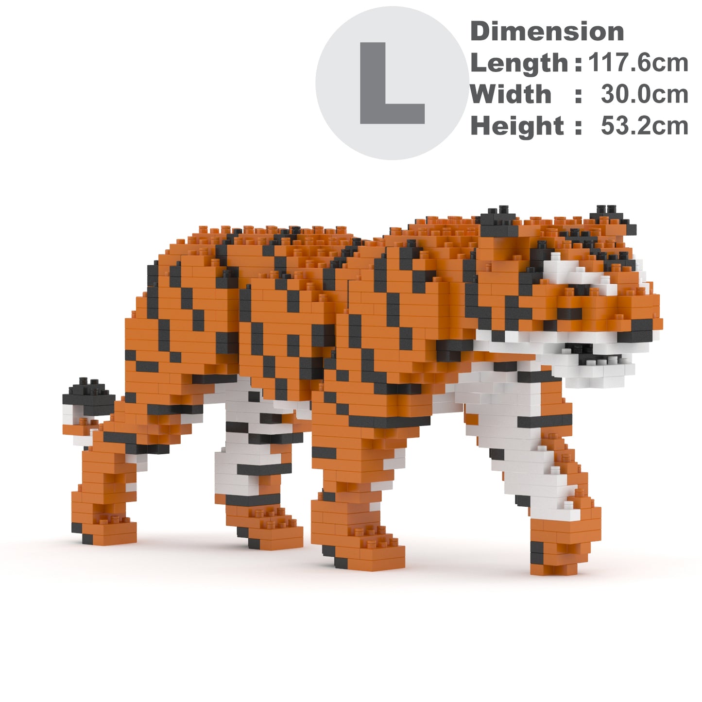 Tiger 01