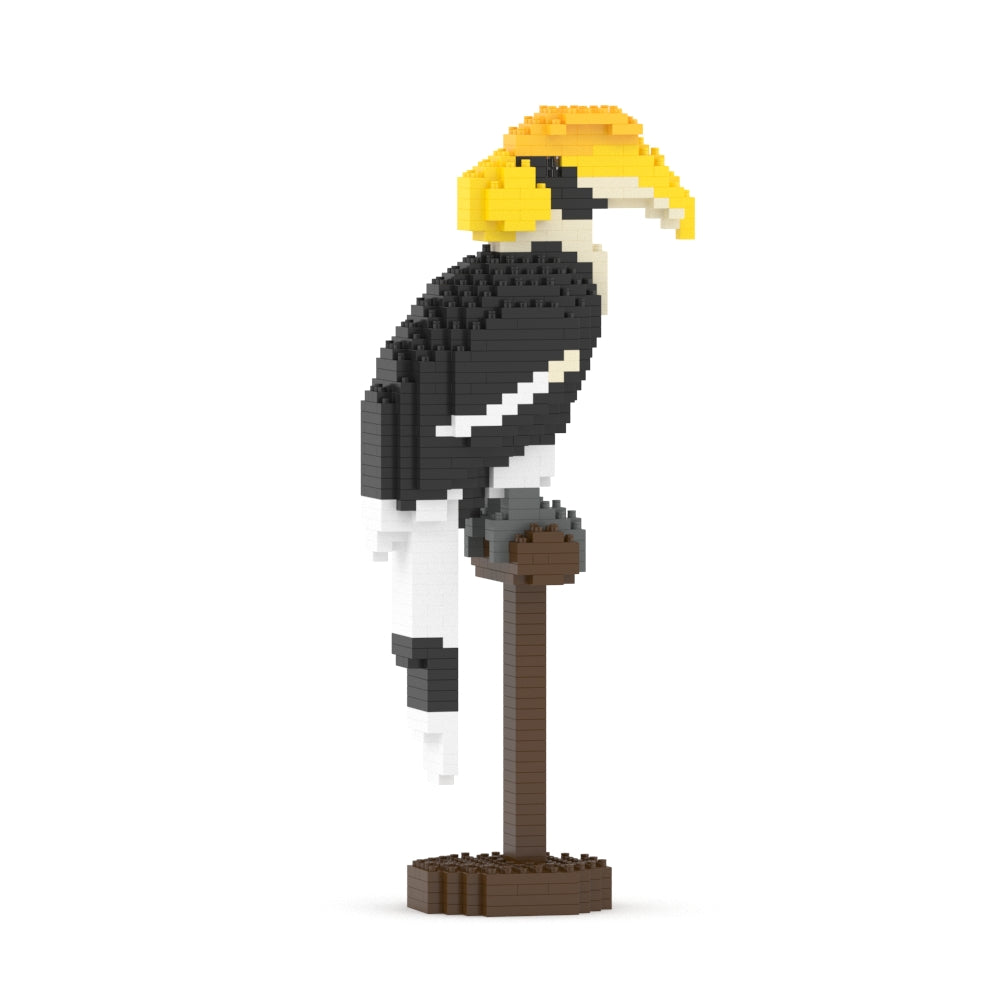 Great Hornbill 01