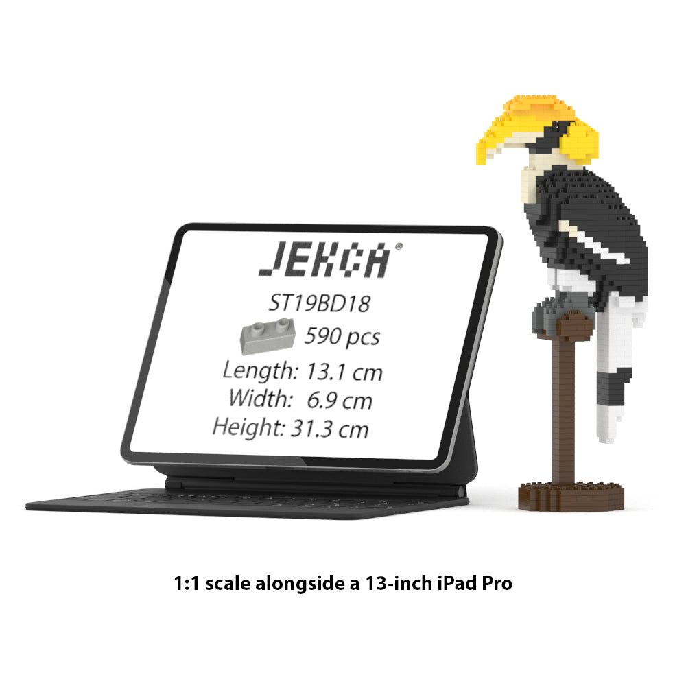 Great Hornbill 01
