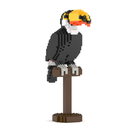 Toco Toucan 01