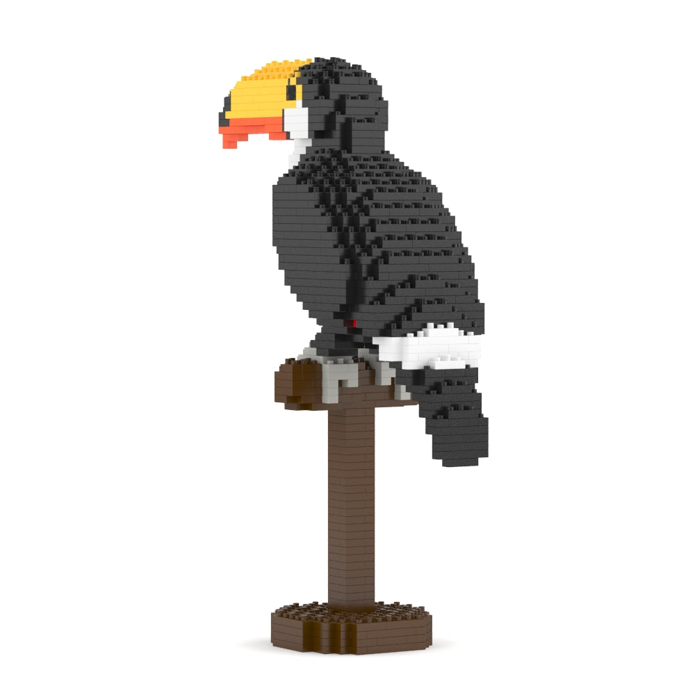 Toco Toucan 01
