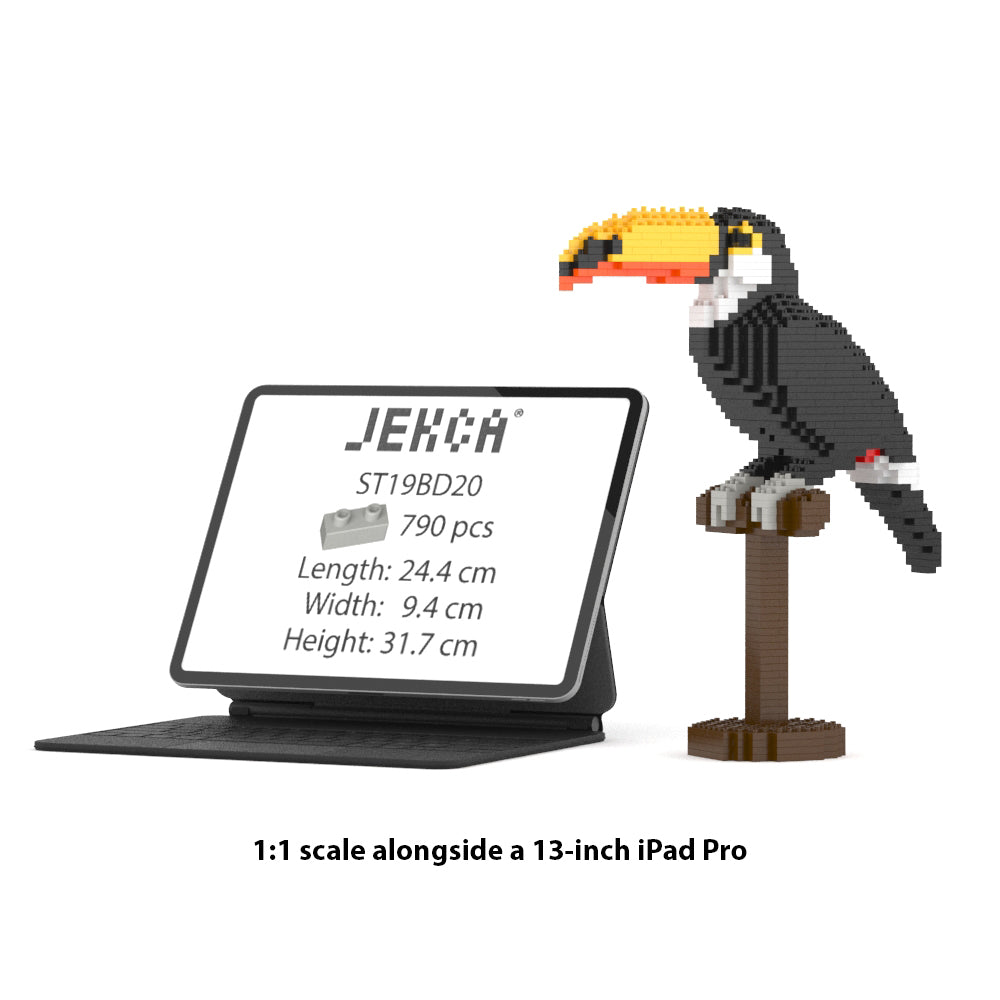 Toco Toucan 01
