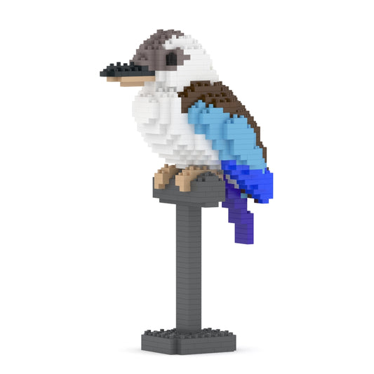 Kookaburra 01-M02
