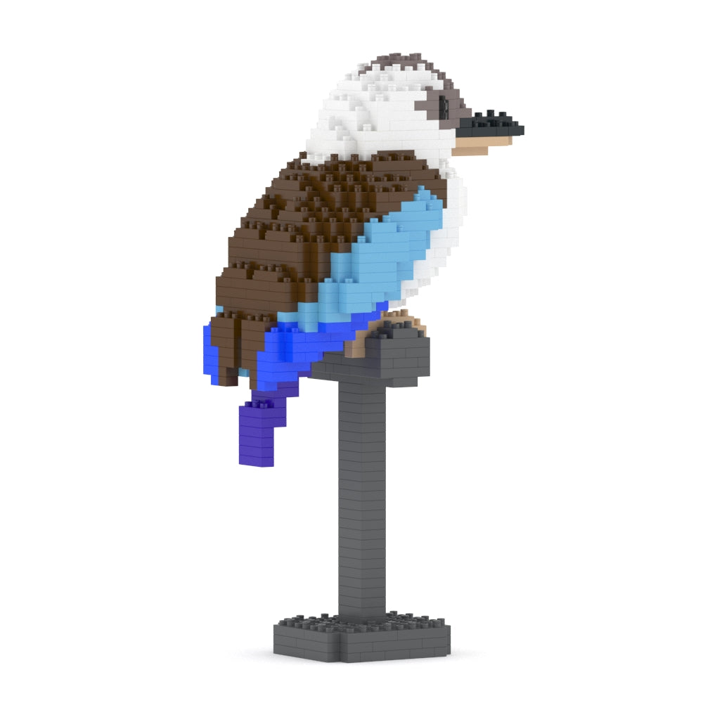 Kookaburra 01-M02