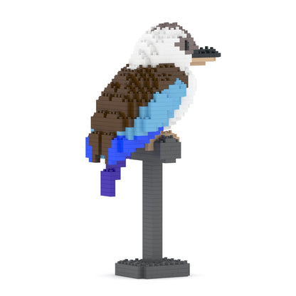 Kookaburra 01-M02