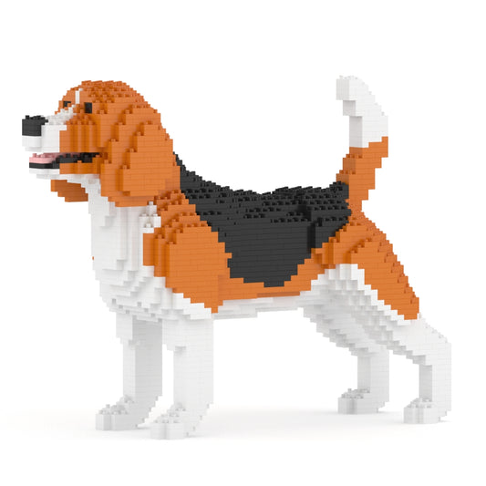 小獵犬03
