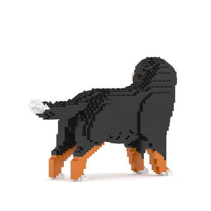 Bernese Mountain Dog 03B