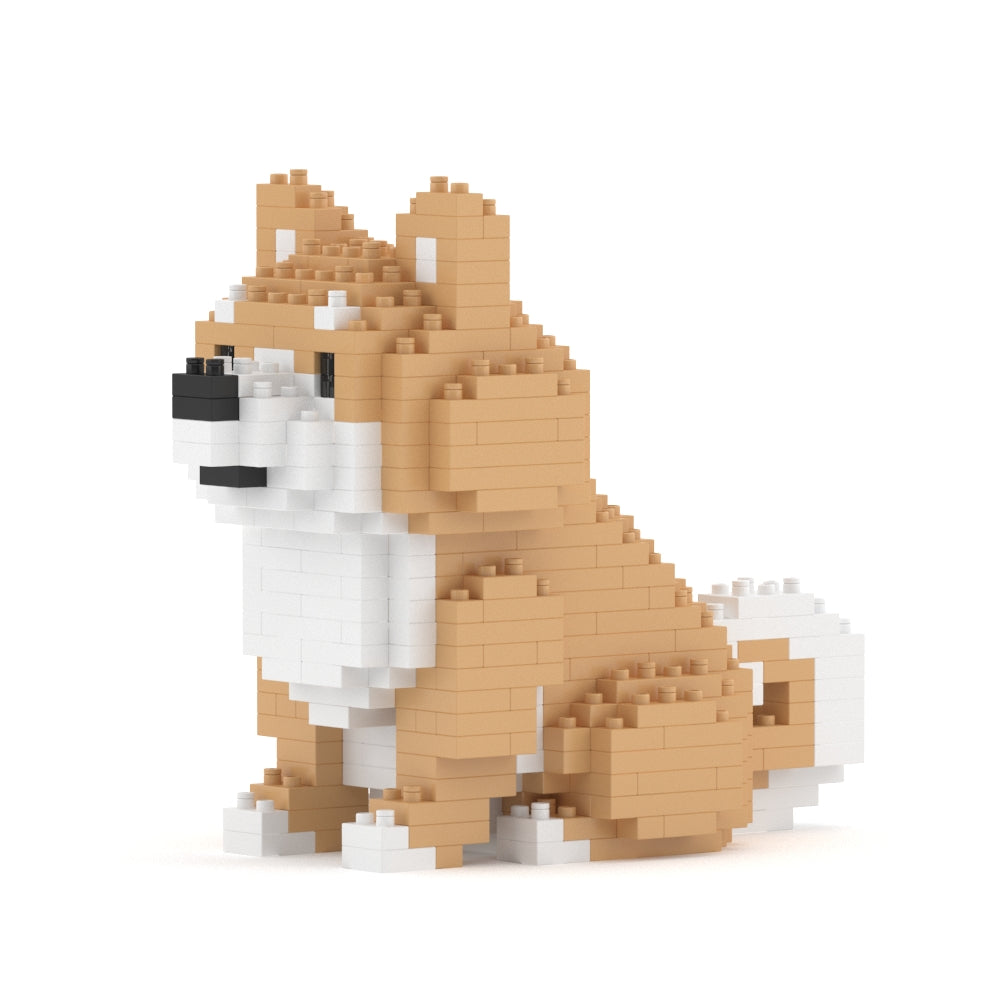 迷你柴犬01