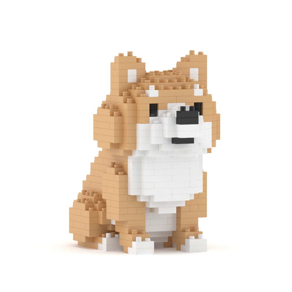 迷你柴犬01
