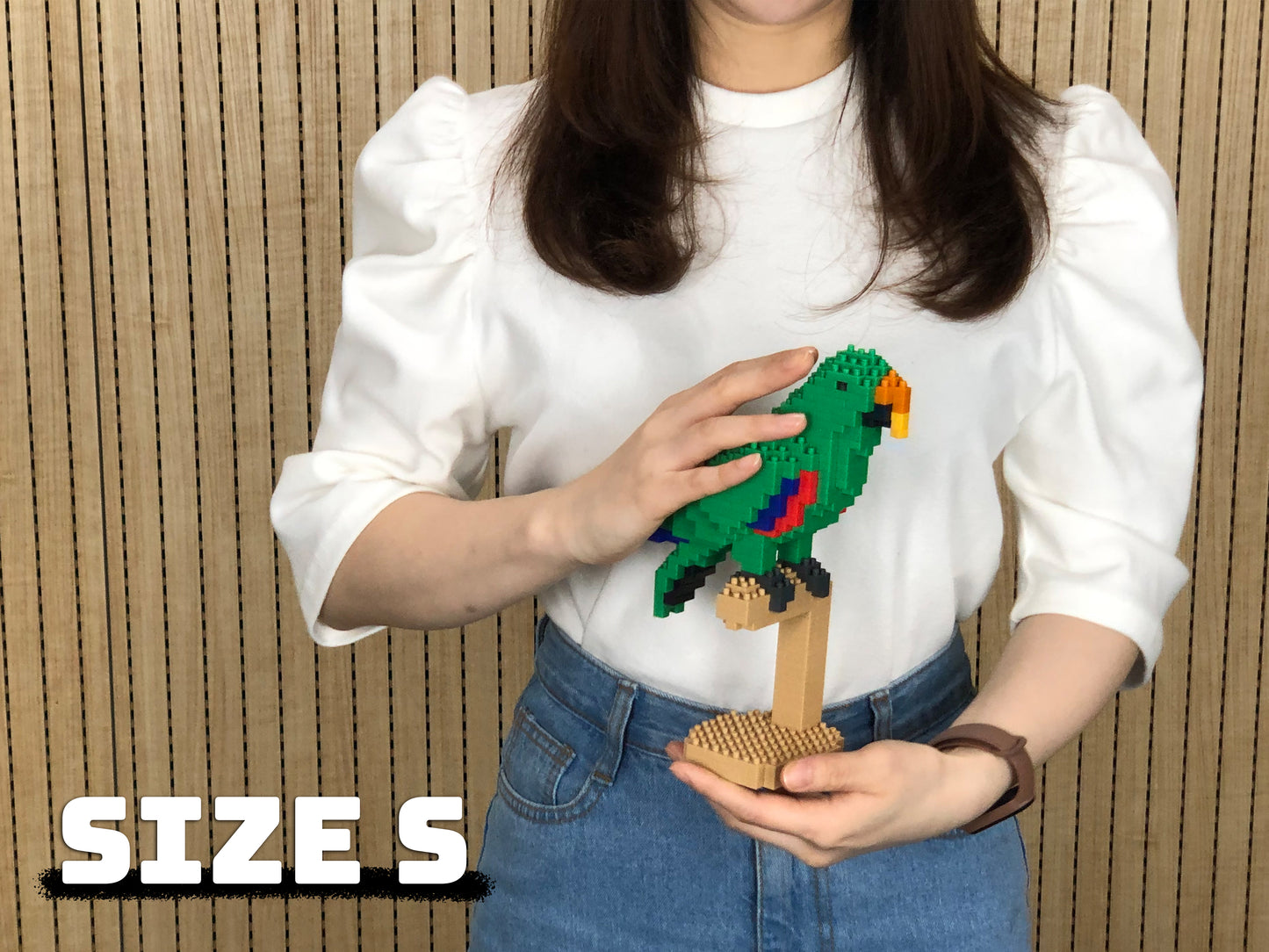 Eclectus 02S