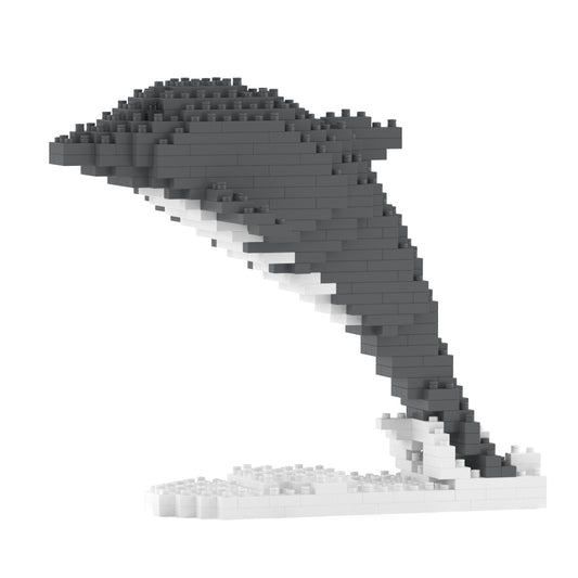 海豚01