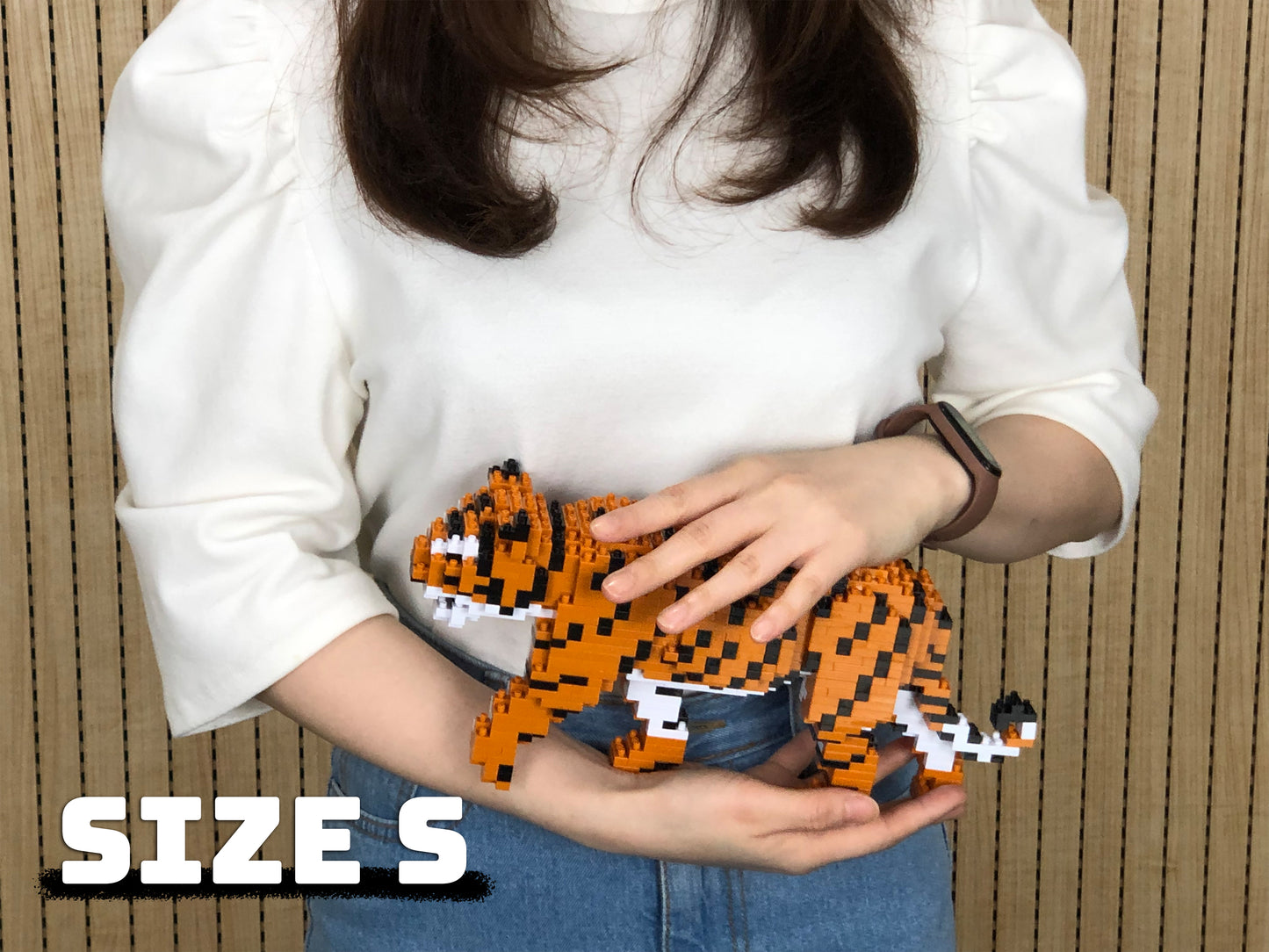 Tiger 01