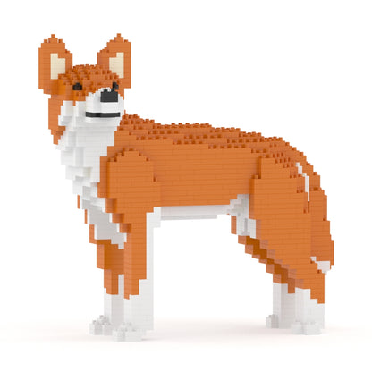 澳洲野犬01