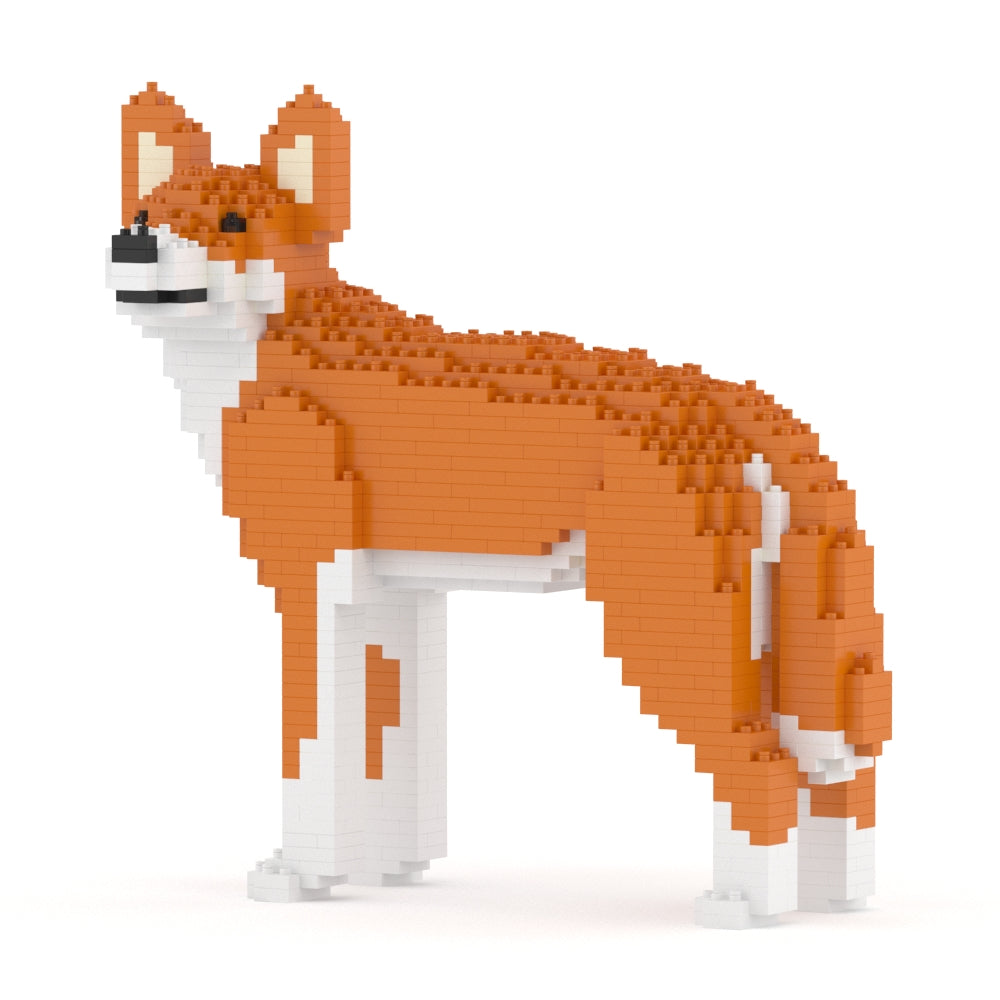 澳洲野犬01