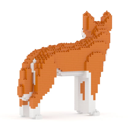 澳洲野犬01