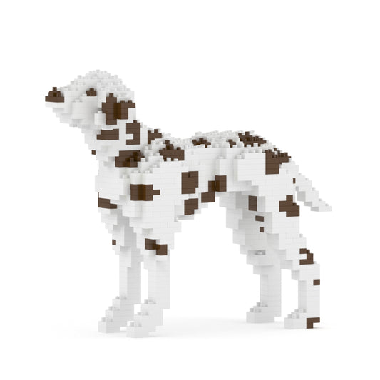 Dalmatian 01-M02