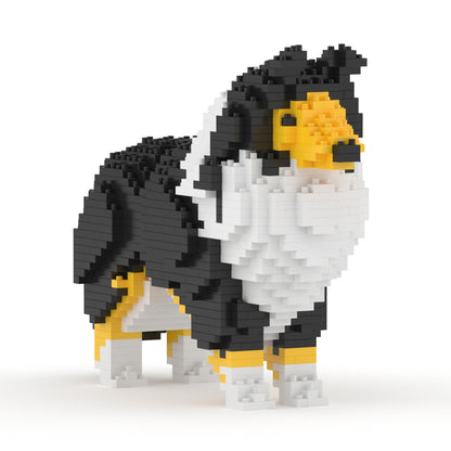 Shetland Sheepdog 01-S02